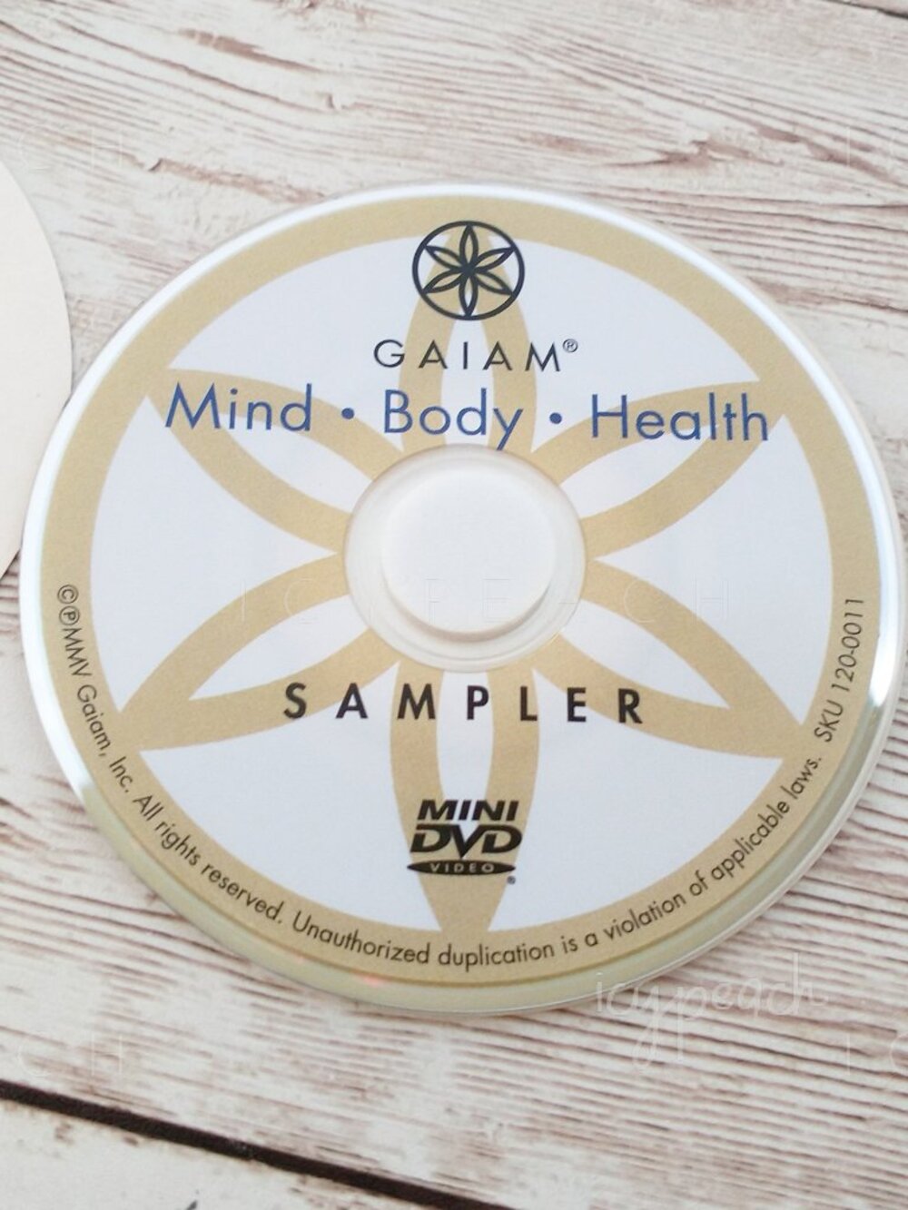 GAIAM Sampler Mini DVD (Disc Only) Exercise Fitness Mind Body Health Video